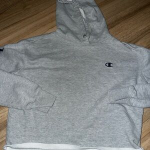 Champion Gray S Cropped Hoodie